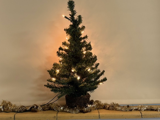 9CE188D9-F3D8-4E6F-8B87-5825C13ADC72_1_105_c